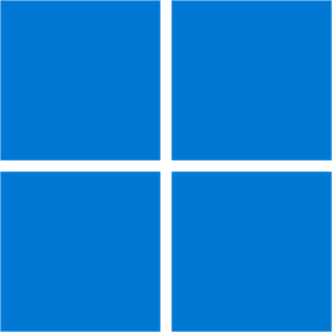 Raiden X for Windows 10