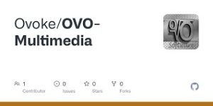 OVO Multimedia